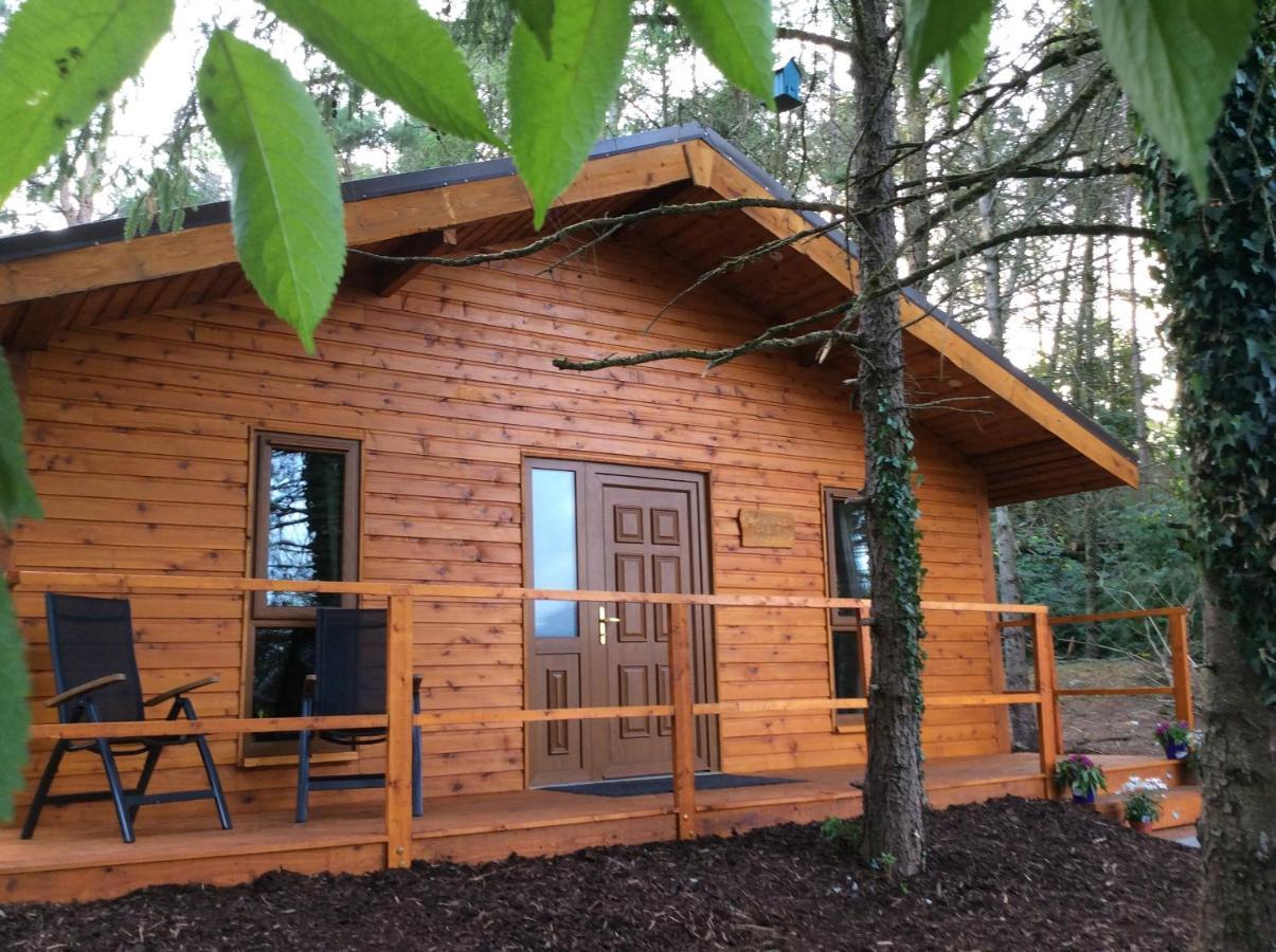 Butterfly Cabin Limerick Bagian luar foto